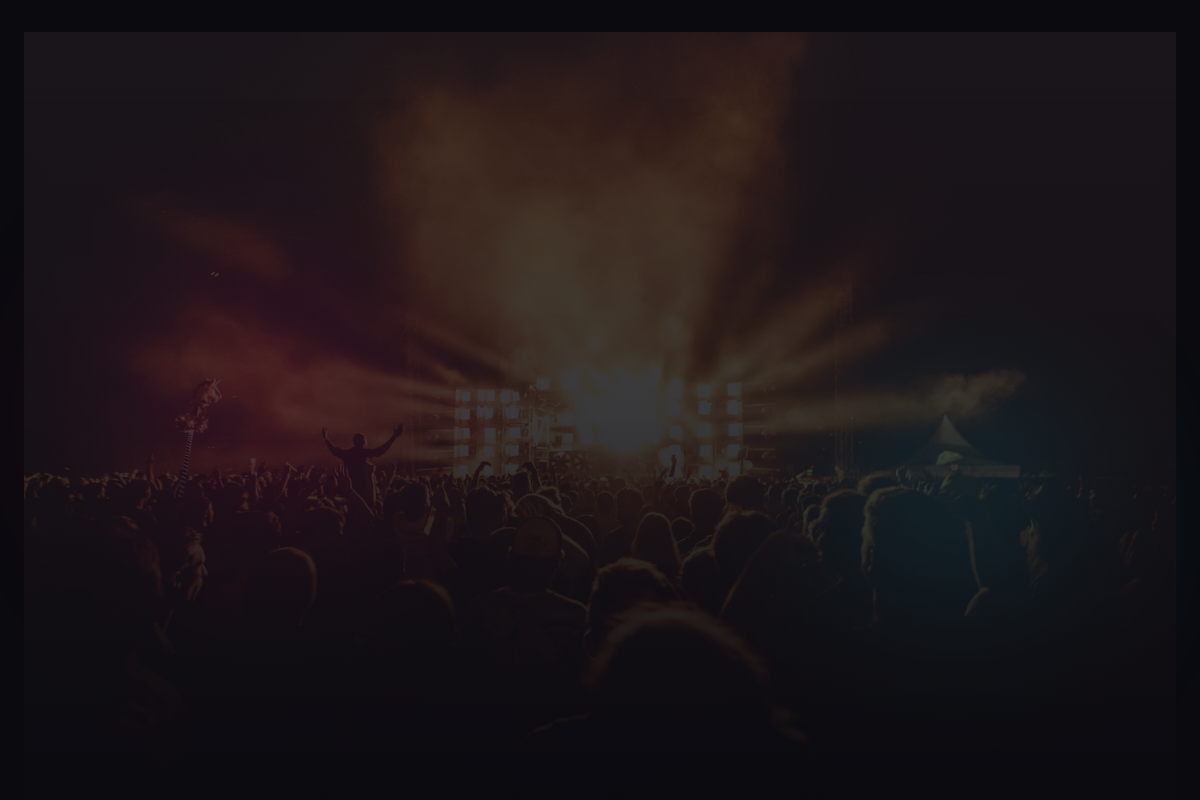 Concert / Gig