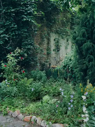A yard photographed at dusk, too dim to see