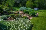 A lush planted garden with rocks
