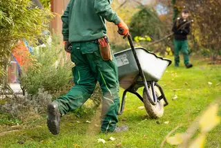 A gardener pushing a loaded wheelbarrow across a lawn