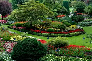 Formal flower beds edged in a finished garden